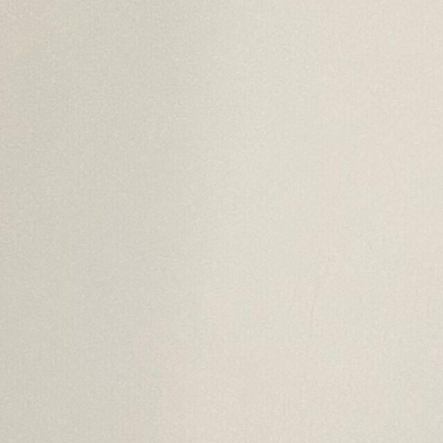 Profile picture of Steven Tajan