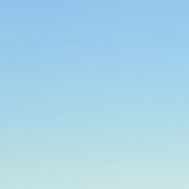 Profile picture of Stefania Squillace