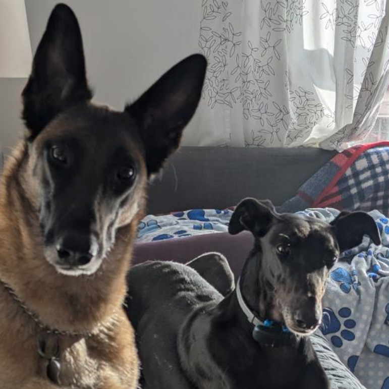 Profile picture of Miguel Rodriguez Garcia