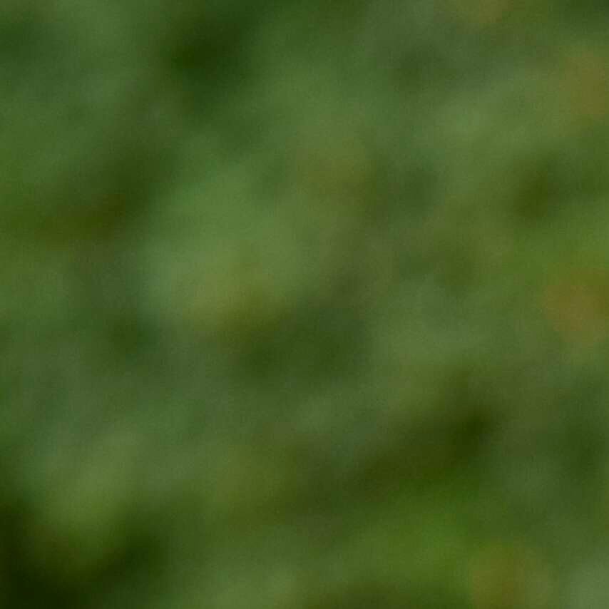 Profile picture of Paulina Cuhova